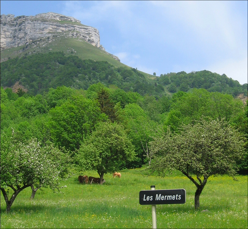 Hameau des Mermets (Savoie)
